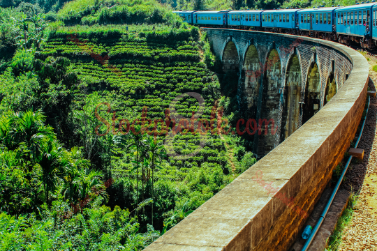 Train passing the Nine Arches Bridge, Demodara, Sri Lanka